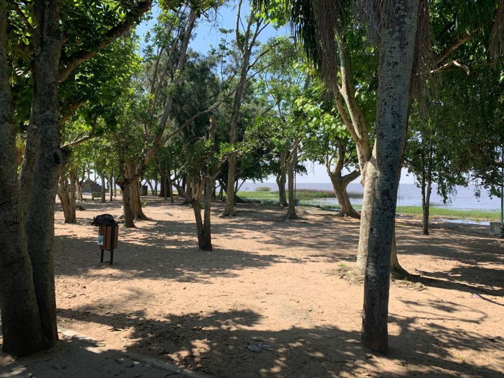 Ap Beira Da Praia Das Ondinas 상 로렌소 두 술 외부 사진